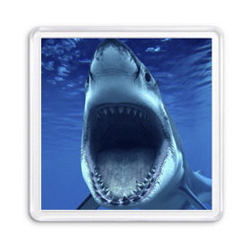 Магнит 55*55 с принтом Белая акула в Петрозаводске, Пластик | Размер: 65*65 мм; Размер печати: 55*55 мм | shark | море | синий