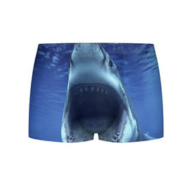 Мужские трусы 3D с принтом Белая акула в Петрозаводске, 50% хлопок, 50% полиэстер | классическая посадка, на поясе мягкая тканевая резинка | Тематика изображения на принте: shark | море | синий