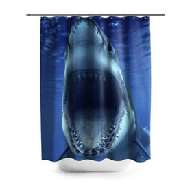 Штора 3D для ванной с принтом Белая акула в Петрозаводске, 100% полиэстер | плотность материала — 100 г/м2. Стандартный размер — 146 см х 180 см. По верхнему краю — пластиковые люверсы для креплений. В комплекте 10 пластиковых колец | shark | море | синий