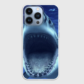 Чехол для iPhone 13 Pro с принтом Белая акула в Петрозаводске,  |  | shark | море | синий