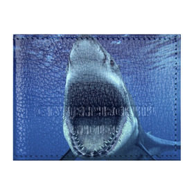 Обложка для студенческого билета с принтом Белая акула в Петрозаводске, натуральная кожа | Размер: 11*8 см; Печать на всей внешней стороне | shark | море | синий