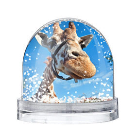 Снежный шар с принтом Прикольный жираф в Петрозаводске, Пластик | Изображение внутри шара печатается на глянцевой фотобумаге с двух сторон | африка | животное | жираф | небо | природа