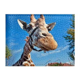 Обложка для студенческого билета с принтом Прикольный жираф в Петрозаводске, натуральная кожа | Размер: 11*8 см; Печать на всей внешней стороне | африка | животное | жираф | небо | природа