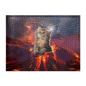 Обложка для студенческого билета с принтом Кот на вулкане в Петрозаводске, натуральная кожа | Размер: 11*8 см; Печать на всей внешней стороне | Тематика изображения на принте: вулкан | извержение | кот | котенок | лава | метеорит