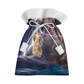 Подарочный 3D мешок с принтом Кот и молния в Петрозаводске, 100% полиэстер | Размер: 29*39 см | буря | гроза | кот | котенок | молния | облака