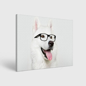 Холст прямоугольный с принтом Собака в очках в Петрозаводске, 100% ПВХ |  | домашнее | животное | очки | пес | прикол | собака в очках | умный | ученый
