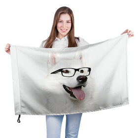 Флаг 3D с принтом Собака в очках в Петрозаводске, 100% полиэстер | плотность ткани — 95 г/м2, размер — 67 х 109 см. Принт наносится с одной стороны | домашнее | животное | очки | пес | прикол | собака в очках | умный | ученый