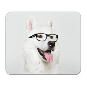 Коврик прямоугольный с принтом Собака в очках в Петрозаводске, натуральный каучук | размер 230 х 185 мм; запечатка лицевой стороны | Тематика изображения на принте: домашнее | животное | очки | пес | прикол | собака в очках | умный | ученый