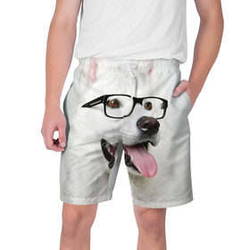 Мужские шорты 3D с принтом Собака в очках в Петрозаводске,  полиэстер 100% | прямой крой, два кармана без застежек по бокам. Мягкая трикотажная резинка на поясе, внутри которой широкие завязки. Длина чуть выше колен | Тематика изображения на принте: домашнее | животное | очки | пес | прикол | собака в очках | умный | ученый