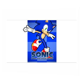 Бумага для упаковки 3D с принтом Sonic The-Hedgehog в Петрозаводске, пластик и полированная сталь | круглая форма, металлическое крепление в виде кольца | Тематика изображения на принте: sega sonic