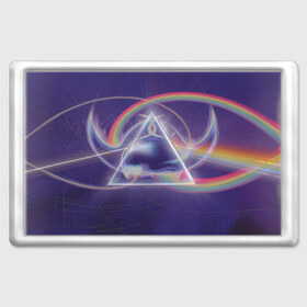 Магнит 45*70 с принтом Pink Floyd в Петрозаводске, Пластик | Размер: 78*52 мм; Размер печати: 70*45 | pink floyd