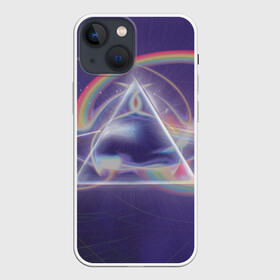 Чехол для iPhone 13 mini с принтом Pink Floyd в Петрозаводске,  |  | pink floyd