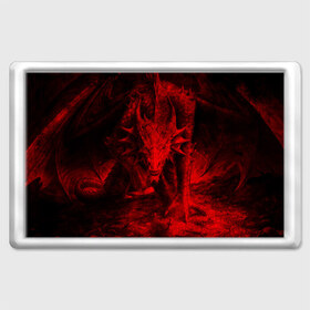 Магнит 45*70 с принтом Дракон в Петрозаводске, Пластик | Размер: 78*52 мм; Размер печати: 70*45 | dragon | дракон