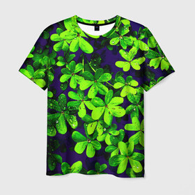 Мужская футболка 3D с принтом Цветы в Петрозаводске, 100% полиэфир | прямой крой, круглый вырез горловины, длина до линии бедер | flower | весна | лето | природа | тюльпаны