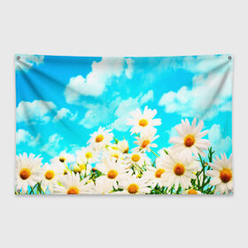 Флаг-баннер с принтом Ромашки в Петрозаводске, 100% полиэстер | размер 67 х 109 см, плотность ткани — 95 г/м2; по краям флага есть четыре люверса для крепления | Тематика изображения на принте: весна | лето