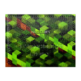 Обложка для студенческого билета с принтом Minecraft в Петрозаводске, натуральная кожа | Размер: 11*8 см; Печать на всей внешней стороне | minecraft | игра | крипер