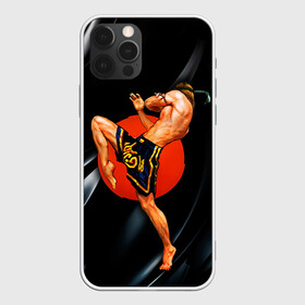 Чехол для iPhone 12 Pro с принтом Muay thai 4 в Петрозаводске, силикон | область печати: задняя сторона чехла, без боковых панелей | Тематика изображения на принте: muay thai