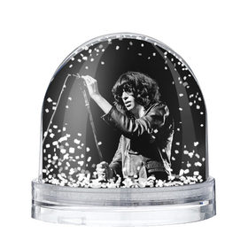 Водяной шар с принтом Ramones 5 в Петрозаводске, Пластик | Изображение внутри шара печатается на глянцевой фотобумаге с двух сторон | joey ramone | punk | джоуи рамон | панк | рамонез | рамонес