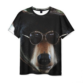 Мужская футболка 3D с принтом Медведь в очках в Петрозаводске, 100% полиэфир | прямой крой, круглый вырез горловины, длина до линии бедер | животное | медведь | новая | очки | природа | стильная