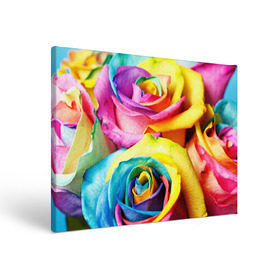 Холст прямоугольный с принтом Радужная роза в Петрозаводске, 100% ПВХ |  | бутон | лепестки | радуга | радужная роза | спектр | цвет | цветные | яркий