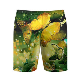 Мужские шорты 3D спортивные с принтом Бабочки в Петрозаводске,  |  | разноцветный | яркие
