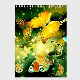 Скетчбук с принтом Бабочки в Петрозаводске, 100% бумага
 | 48 листов, плотность листов — 100 г/м2, плотность картонной обложки — 250 г/м2. Листы скреплены сверху удобной пружинной спиралью | разноцветный | яркие