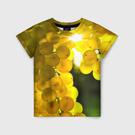 Детская футболка 3D с принтом Виноград в Петрозаводске, 100% гипоаллергенный полиэфир | прямой крой, круглый вырез горловины, длина до линии бедер, чуть спущенное плечо, ткань немного тянется | виноград | виноградник | лоза | лучи | солнце | ягоды