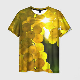 Мужская футболка 3D с принтом Виноград в Петрозаводске, 100% полиэфир | прямой крой, круглый вырез горловины, длина до линии бедер | виноград | виноградник | лоза | лучи | солнце | ягоды