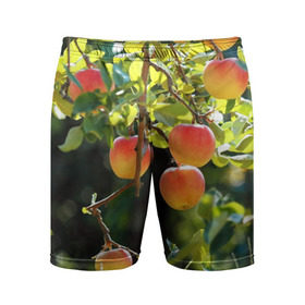 Мужские шорты 3D спортивные с принтом Яблоки в Петрозаводске,  |  | дерево | зелень | красные | сад
