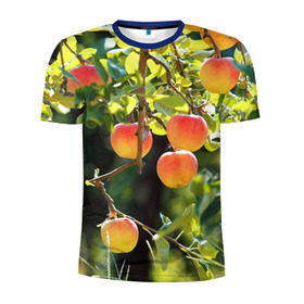 Мужская футболка 3D спортивная с принтом Яблоки в Петрозаводске, 100% полиэстер с улучшенными характеристиками | приталенный силуэт, круглая горловина, широкие плечи, сужается к линии бедра | Тематика изображения на принте: дерево | зелень | красные | сад