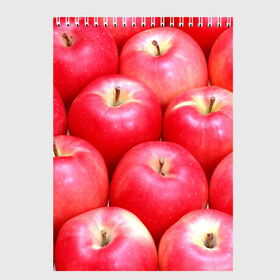Скетчбук с принтом Яблоки в Петрозаводске, 100% бумага
 | 48 листов, плотность листов — 100 г/м2, плотность картонной обложки — 250 г/м2. Листы скреплены сверху удобной пружинной спиралью | Тематика изображения на принте: красные | плоды | уражай | фрукты | яблоки