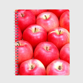 Тетрадь с принтом Яблоки в Петрозаводске, 100% бумага | 48 листов, плотность листов — 60 г/м2, плотность картонной обложки — 250 г/м2. Листы скреплены сбоку удобной пружинной спиралью. Уголки страниц и обложки скругленные. Цвет линий — светло-серый
 | Тематика изображения на принте: красные | плоды | уражай | фрукты | яблоки