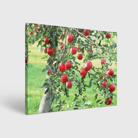 Холст прямоугольный с принтом Яблоки в Петрозаводске, 100% ПВХ |  | Тематика изображения на принте: дерево | зелень | красные | сад | яблоки