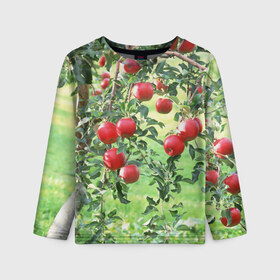 Детский лонгслив 3D с принтом Яблоки в Петрозаводске, 100% полиэстер | длинные рукава, круглый вырез горловины, полуприлегающий силуэт
 | дерево | зелень | красные | сад | яблоки