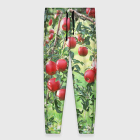 Женские брюки 3D с принтом Яблоки в Петрозаводске, полиэстер 100% | прямой крой, два кармана без застежек по бокам, с мягкой трикотажной резинкой на поясе и по низу штанин. В поясе для дополнительного комфорта — широкие завязки | дерево | зелень | красные | сад | яблоки