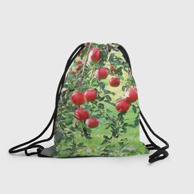 Рюкзак-мешок 3D с принтом Яблоки в Петрозаводске, 100% полиэстер | плотность ткани — 200 г/м2, размер — 35 х 45 см; лямки — толстые шнурки, застежка на шнуровке, без карманов и подкладки | дерево | зелень | красные | сад | яблоки