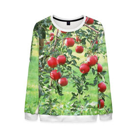 Мужской свитшот 3D с принтом Яблоки в Петрозаводске, 100% полиэстер с мягким внутренним слоем | круглый вырез горловины, мягкая резинка на манжетах и поясе, свободная посадка по фигуре | Тематика изображения на принте: дерево | зелень | красные | сад | яблоки