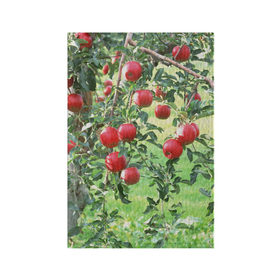 Обложка для паспорта матовая кожа с принтом Яблоки в Петрозаводске, натуральная матовая кожа | размер 19,3 х 13,7 см; прозрачные пластиковые крепления | дерево | зелень | красные | сад | яблоки