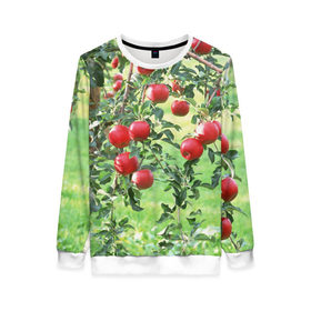 Женский свитшот 3D с принтом Яблоки в Петрозаводске, 100% полиэстер с мягким внутренним слоем | круглый вырез горловины, мягкая резинка на манжетах и поясе, свободная посадка по фигуре | дерево | зелень | красные | сад | яблоки