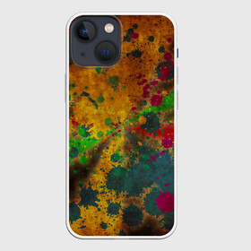 Чехол для iPhone 13 mini с принтом Paint в Петрозаводске,  |  | краски | холст