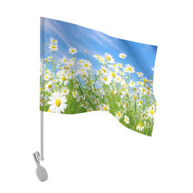 Флаг для автомобиля с принтом Ромашки в Петрозаводске, 100% полиэстер | Размер: 30*21 см | луг | цветы