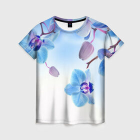 Женская футболка 3D с принтом Голубая орхидея в Петрозаводске, 100% полиэфир ( синтетическое хлопкоподобное полотно) | прямой крой, круглый вырез горловины, длина до линии бедер | голубая орхидея | красота | орхидеи | природа | цветок | цветочек | цветы