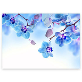 Поздравительная открытка с принтом Голубая орхидея в Петрозаводске, 100% бумага | плотность бумаги 280 г/м2, матовая, на обратной стороне линовка и место для марки
 | Тематика изображения на принте: голубая орхидея | красота | орхидеи | природа | цветок | цветочек | цветы