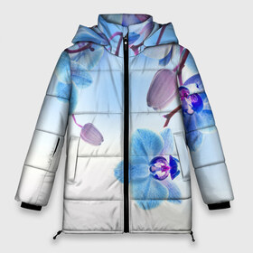 Женская зимняя куртка 3D с принтом Голубая орхидея в Петрозаводске, верх — 100% полиэстер; подкладка — 100% полиэстер; утеплитель — 100% полиэстер | длина ниже бедра, силуэт Оверсайз. Есть воротник-стойка, отстегивающийся капюшон и ветрозащитная планка. 

Боковые карманы с листочкой на кнопках и внутренний карман на молнии | голубая орхидея | красота | орхидеи | природа | цветок | цветочек | цветы