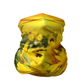 Бандана-труба 3D с принтом Подсолнухи в Петрозаводске, 100% полиэстер, ткань с особыми свойствами — Activecool | плотность 150‒180 г/м2; хорошо тянется, но сохраняет форму | желтый | солнце | цветок | яркий