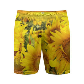 Мужские шорты 3D спортивные с принтом Подсолнухи в Петрозаводске,  |  | Тематика изображения на принте: желтый | солнце | цветок | яркий