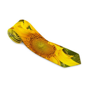 Галстук 3D с принтом Подсолнухи в Петрозаводске, 100% полиэстер | Длина 148 см; Плотность 150-180 г/м2 | желтый | солнце | цветок | яркий