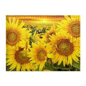 Обложка для студенческого билета с принтом Подсолнухи в Петрозаводске, натуральная кожа | Размер: 11*8 см; Печать на всей внешней стороне | желтый | солнце | цветок | яркий