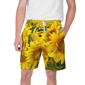 Мужские шорты 3D с принтом Подсолнухи в Петрозаводске,  полиэстер 100% | прямой крой, два кармана без застежек по бокам. Мягкая трикотажная резинка на поясе, внутри которой широкие завязки. Длина чуть выше колен | желтый | солнце | цветок | яркий