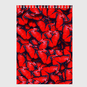 Скетчбук с принтом Бабочки в Петрозаводске, 100% бумага
 | 48 листов, плотность листов — 100 г/м2, плотность картонной обложки — 250 г/м2. Листы скреплены сверху удобной пружинной спиралью | красная